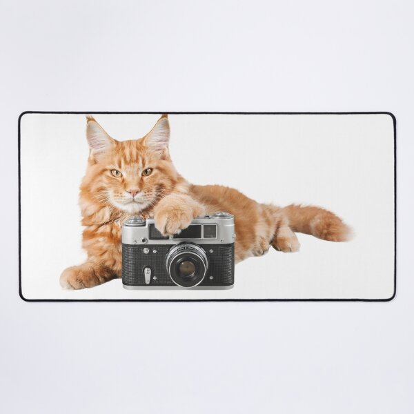 Item preview, Cat+camera  designed and sold by Stingchic.