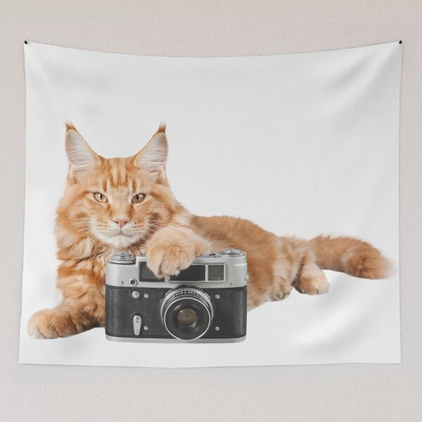 Item preview, Cat+camera  designed and sold by Stingchic.
