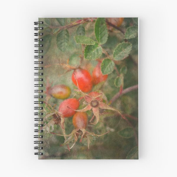 Item preview, Rose Hip Still Life designed and sold by Alexandra Lavizzari.