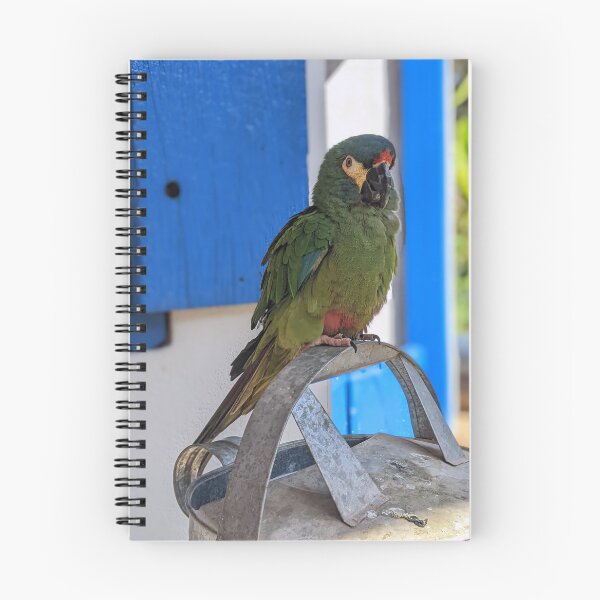 Item preview, Full of colour and words designed and sold by youarethemoon.