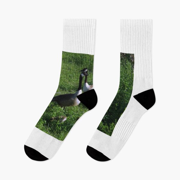 Item preview, Geese In Love designed and sold by TKUsitalo.