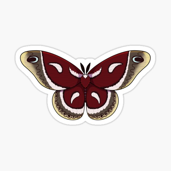 Moth Sticker, Cecropia Moth Insect Sticker, Waterproof Vinyl Art Stick -  studiotuesday