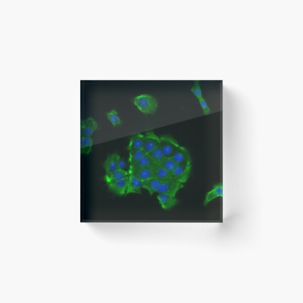 Item preview, Neon green cells and blue nuclei designed and sold by ArtByScience.