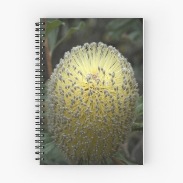 Item preview, Banksia Ornata (Yellow) designed and sold by Ben Loveday.