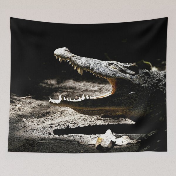 Item preview, The Crocodile and the Sun designed and sold by Dead-Moroz.