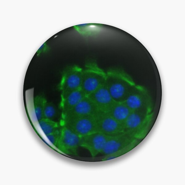 Item preview, Neon green cells and blue nuclei designed and sold by ArtByScience.