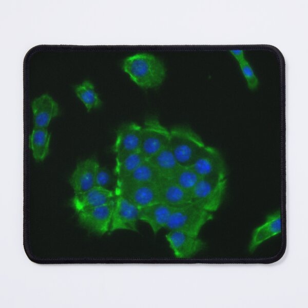 Item preview, Neon green cells and blue nuclei designed and sold by ArtByScience.