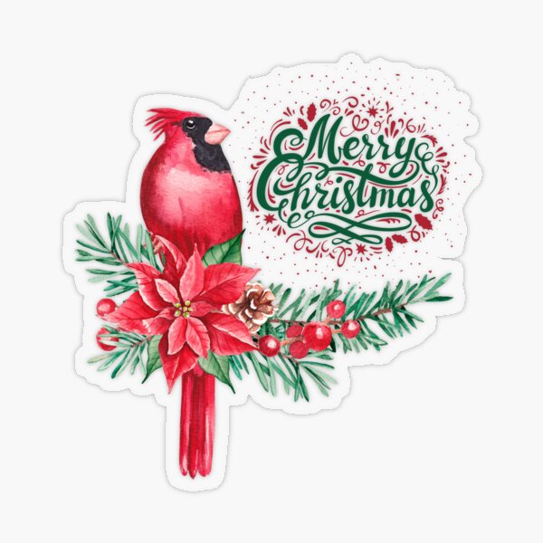  Cardinal Christmas Graphic Tees for Men Women Premium T-Shirt :  Clothing, Shoes & Jewelry