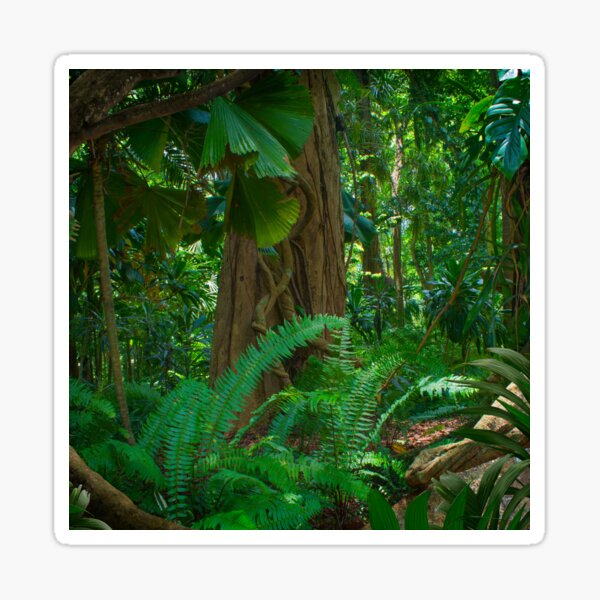 Item preview, Green Rainforest Trees designed and sold by silviaol.