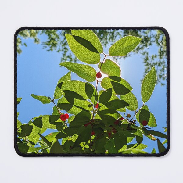 Item preview, Backlit Honeysuckle  designed and sold by arfff.