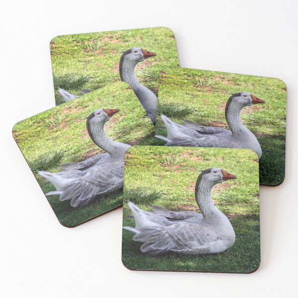 Item preview, This Is My Shady Place designed and sold by heatherfriedman.