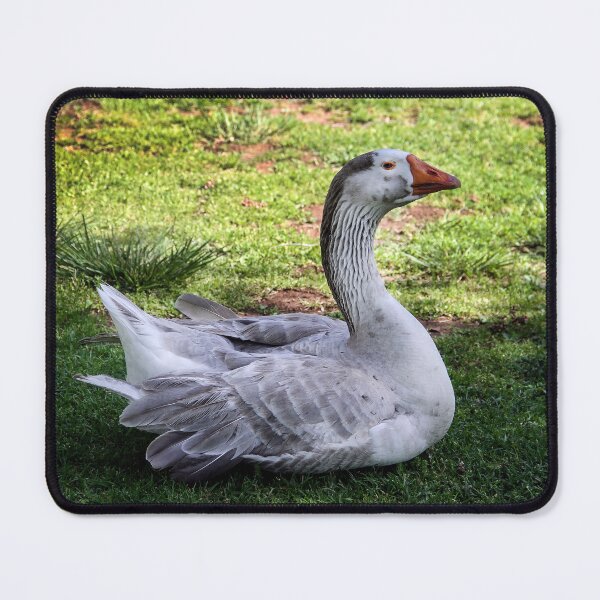 Item preview, This Is My Shady Place designed and sold by heatherfriedman.