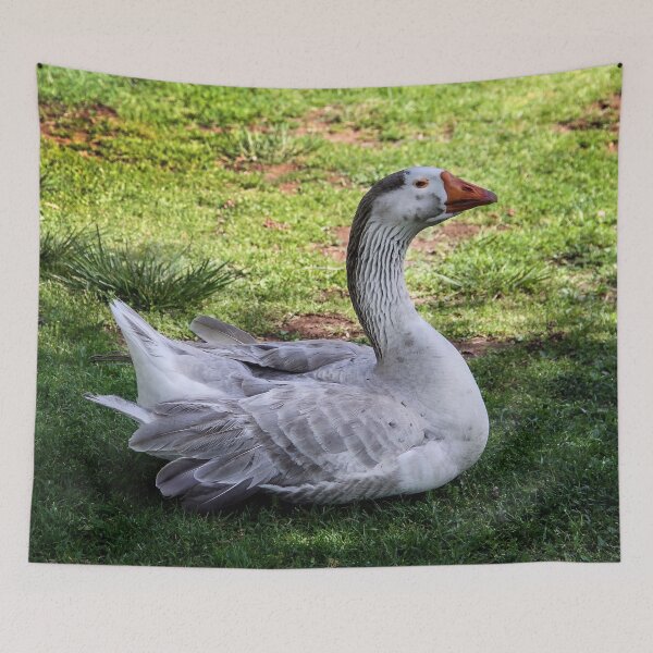 Item preview, This Is My Shady Place designed and sold by heatherfriedman.