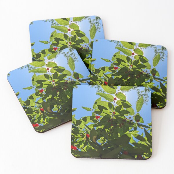 Item preview, Backlit Honeysuckle  designed and sold by arfff.