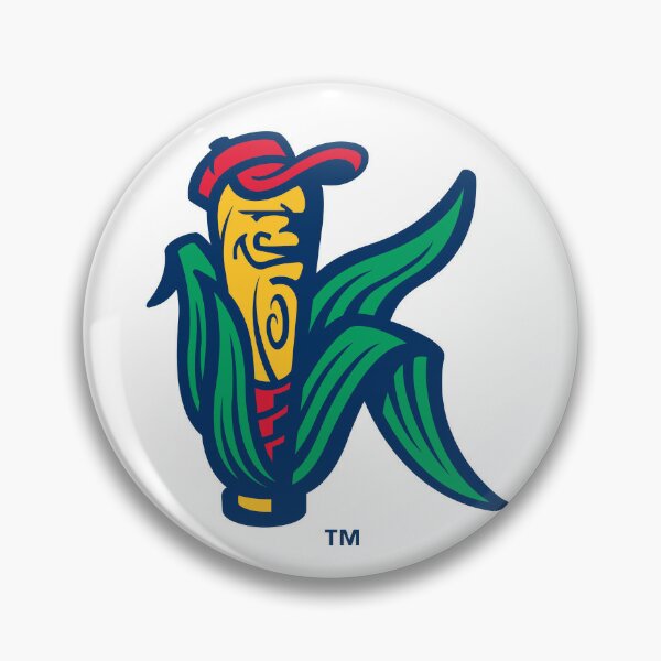 Pin on Cedar Rapids Baseball