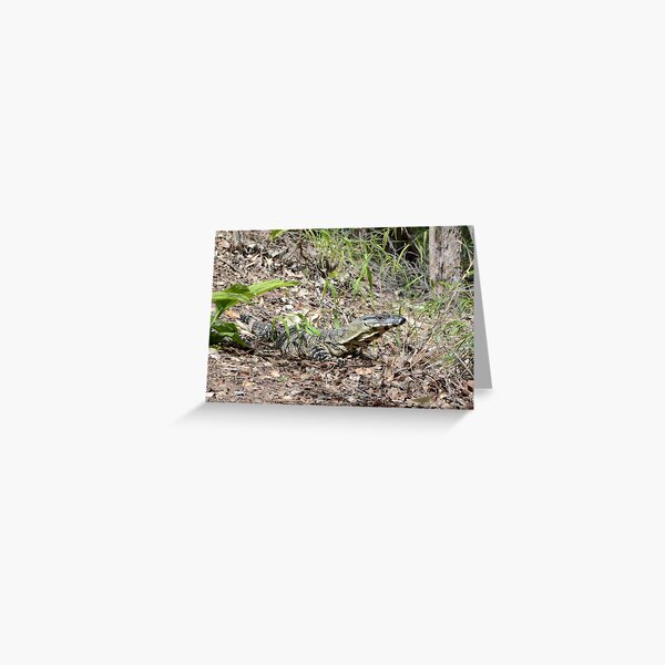 Goanna Greeting Card
