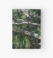 Queensland Creek Hardcover Journal