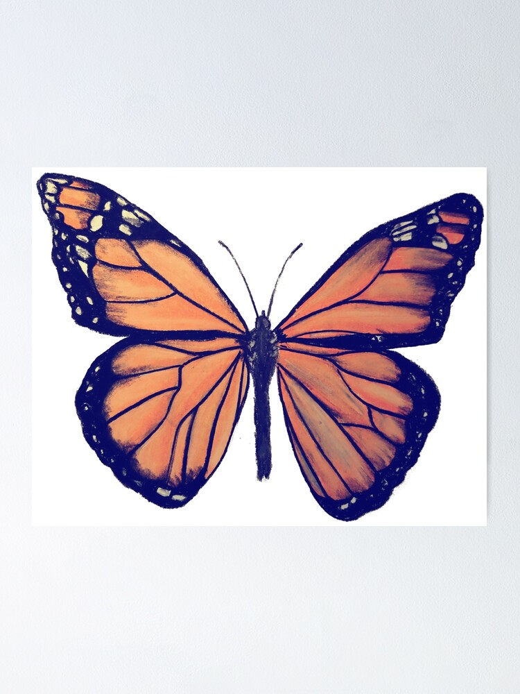 Poster Dessin Papillon Monarque Par Cameleon974 Redbubble