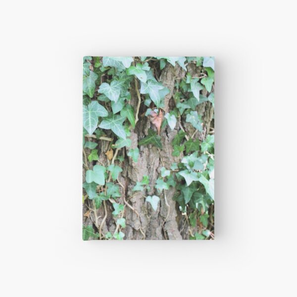 Ivy leaves on Oak tree Hardcover Journal