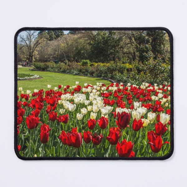 Item preview, Tulips Short Lived designed and sold by Steven Jodoin.