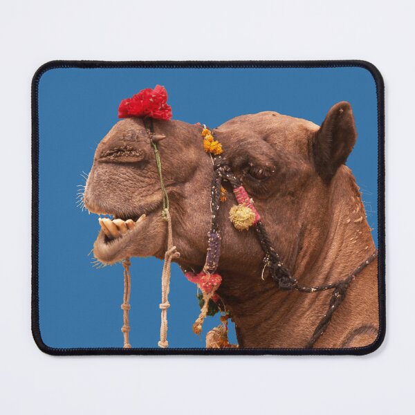 Item preview, Pushkar camel designed and sold by indiafrankk.