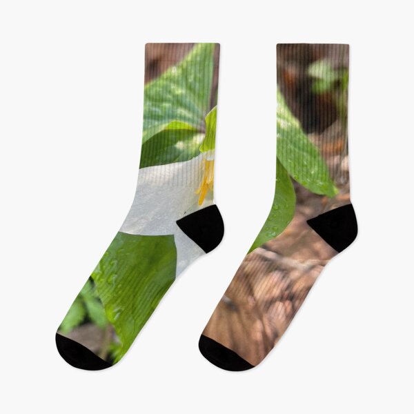 Item preview, Wild White Trillium in the Forest Rain  designed and sold by Photomersion.