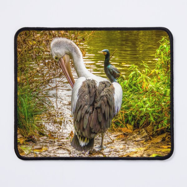 Item preview, The Pelican Break designed and sold by Steven Jodoin.