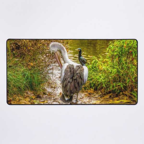 Item preview, The Pelican Break designed and sold by Steven Jodoin.