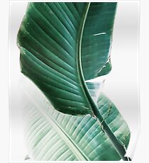 Banana leaves,Tropical leaves, Green leaves, Leaf, Modern art, Wall art, Print, Minimalistic, Modern, Scandinavian print Poster