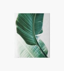 Lámina de exposición Hojas de plátano, Hojas tropicales, Hojas verdes, Hoja, Arte moderno, Arte de la pared, Impresión, Minimalista, Moderno, Escandinavo