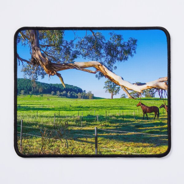 Item preview, Horses Glancing at Mount Franklin designed and sold by Steven Jodoin.