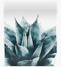 Plant print, Cactus print, Succulent, Scandinavian print, Trendy print, Styled, Pillow, Modern art, Wall art, Print, Minimalistic, Modern Poster