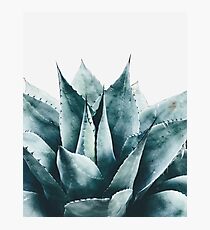 Pflanze print, Kaktus print, Sukkulenten, skandinavischen print, Trendy print, Stil, Kissen, moderne Kunst, Wandkunst, Print, minimalistisch, Modern Fotodruck