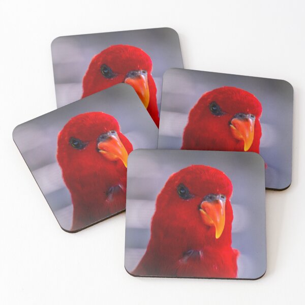 Item preview, Red lory designed and sold by indiafrankk.
