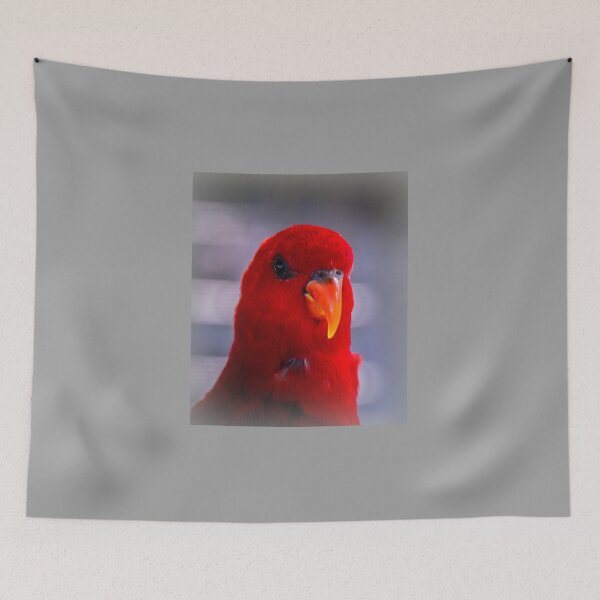 Item preview, Red lory designed and sold by indiafrankk.
