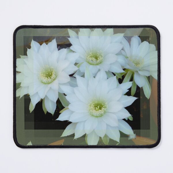 Item preview, White Cactus flowers bouquet by Iritof designed and sold by iritof.