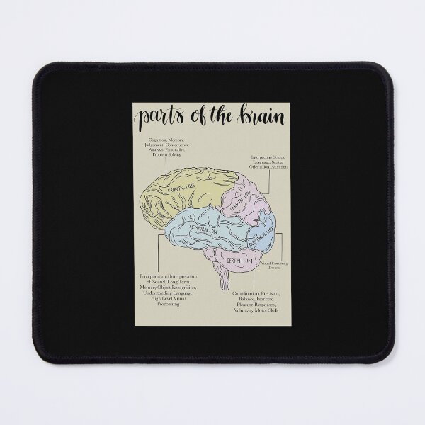 Item preview, Parts of the Brain Psychology Poster Poster designed and sold by darkzerat.