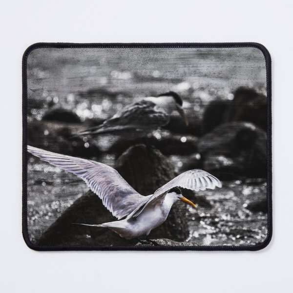 Item preview, Crested Tern Bird Art No 1 designed and sold by SEADOGPRINTS.