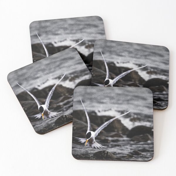 Item preview, Crested Tern Bird Art No 2 designed and sold by SEADOGPRINTS.