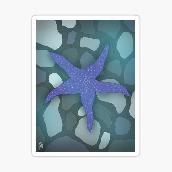 No. 26 - Starfish Sticker