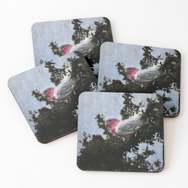 Item preview, Galah Bird Art No 1 designed and sold by SEADOGPRINTS.