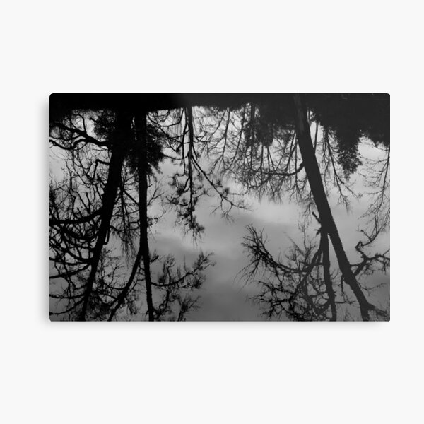 Reflections of You Metal Print