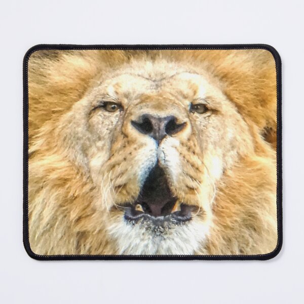 Item preview, The Lions Roar designed and sold by Steven Jodoin.