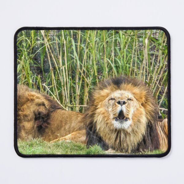 Item preview, Roaring Lions designed and sold by Steven Jodoin.