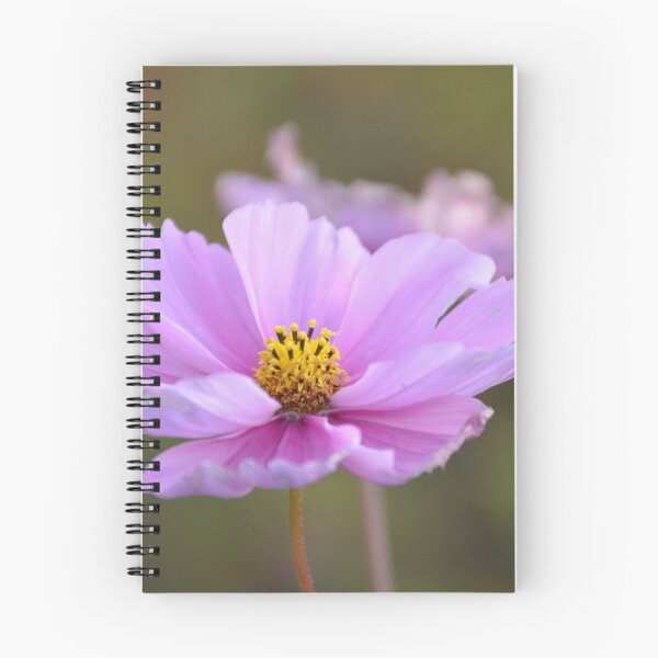 Item preview, Pink focus designed and sold by Helga Binder.