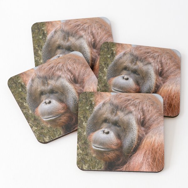 Item preview, Flanged male orangutan designed and sold by rawshutterbug.