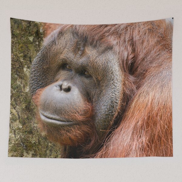 Item preview, Flanged male orangutan designed and sold by rawshutterbug.