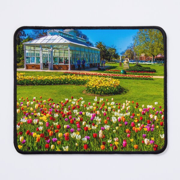 Item preview, Tulips in Full Bloom at the Conservatory - Bendigo, Victoria designed and sold by Steven Jodoin.