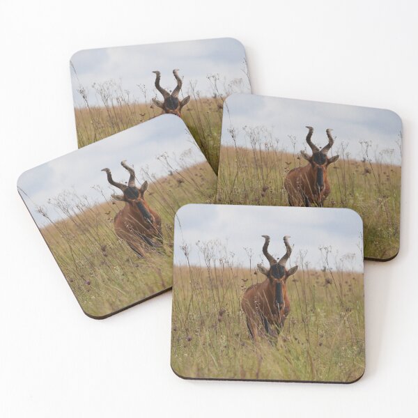 Item preview, Red Hartebeest Photograph - Rietvlei Nature Reserve, South Africa designed and sold by Marlienart.