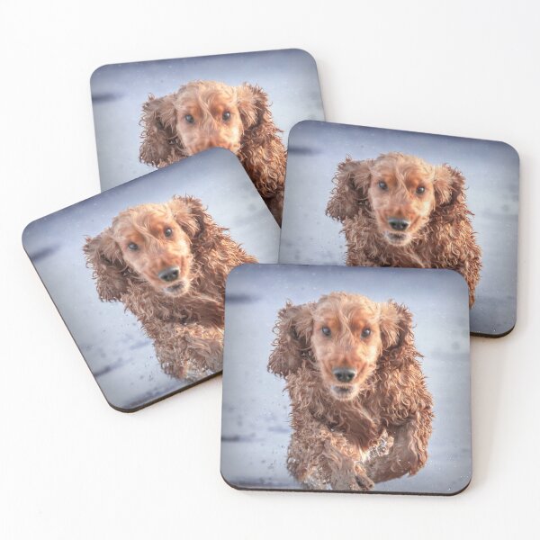 Item preview, Brewski after a swim designed and sold by DVart-nz.